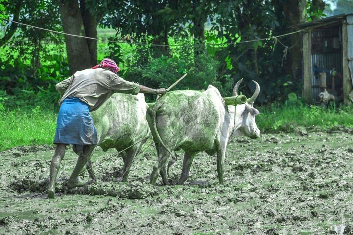 PM Kisan 18th Installment PM Kisan 18th Installment