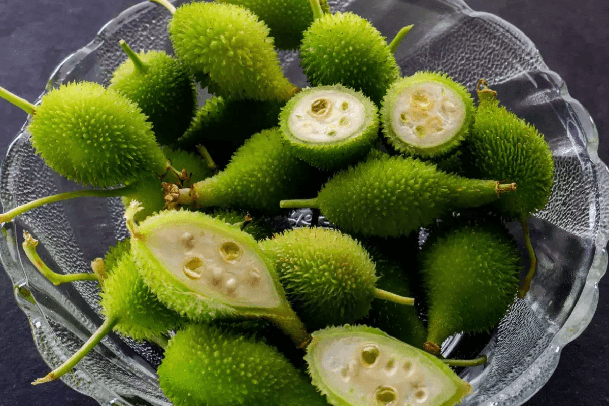 Benefits Of Kakoda: ककोड़ा (कंटोला) को घर में उगाएं और जानें इसके अद्भुत सेहतमंद फायदे