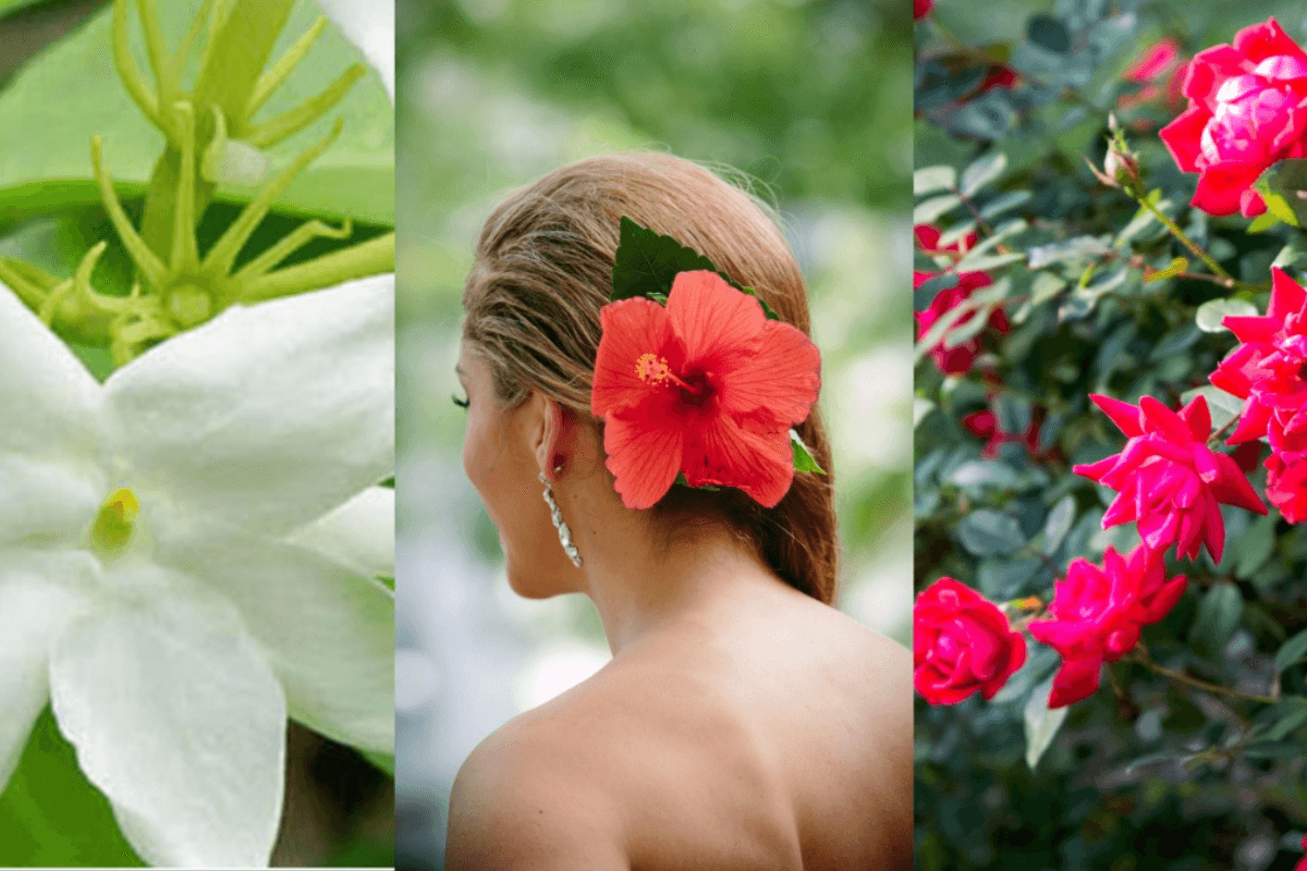 Hair Health: पौधे जो आपके बालों को देंगे नई जिंदगी