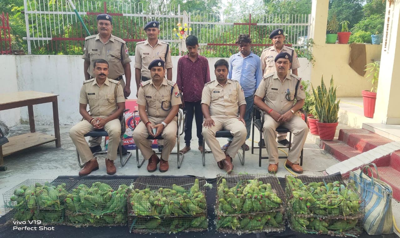 Bihar News: सासाराम RPF ने तस्करों का किया भंडाफोड़, 225 तोता 6 तीतर के साथ दो गिरफ्तार