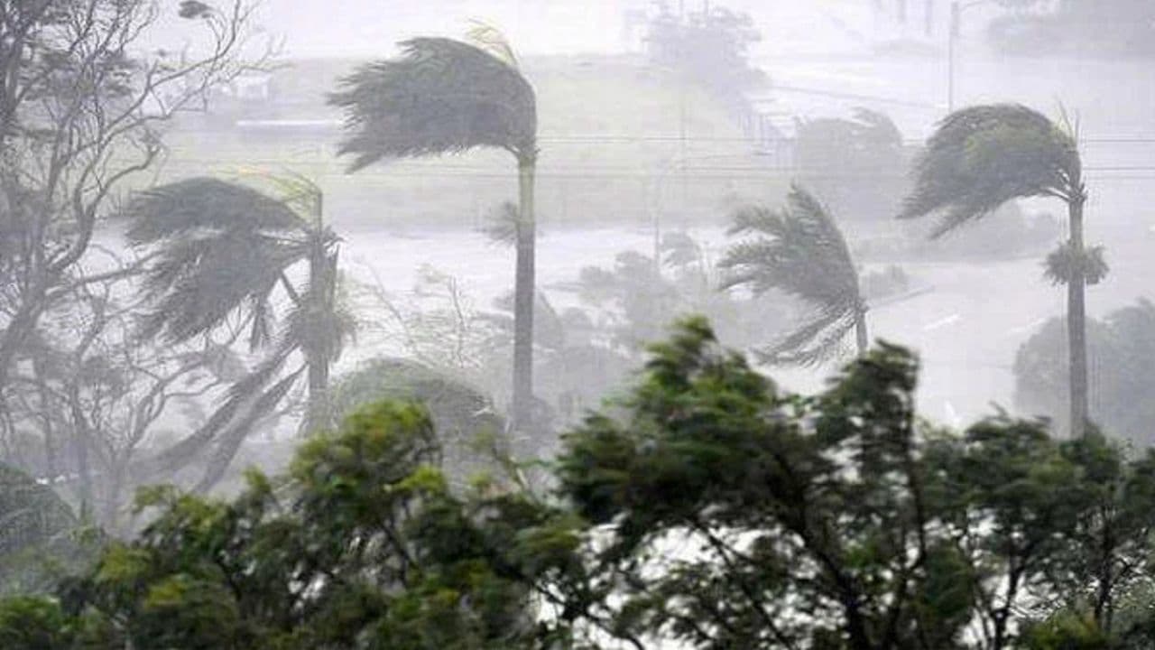 Bihar Weather: बिहार के 13 जिलों में तूफान 'डाना' का अलर्ट, पूर्णिया व किशनगंज में चक्रवात का खतरा