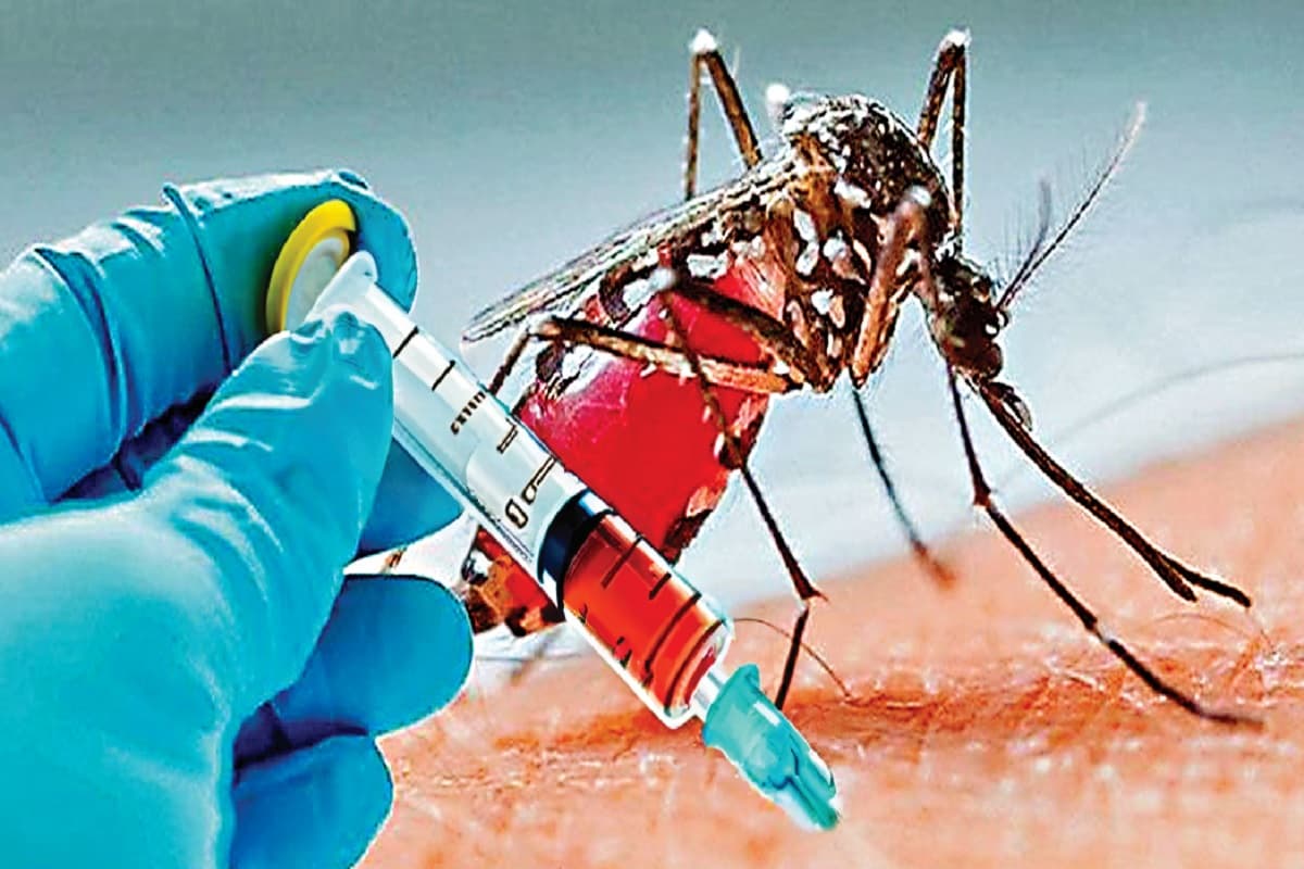 Bihar News: पटना में डेंगू-मलेरिया पर सर्विलांस सिस्टम फेल, स्वास्थ्य विभाग के पास नहीं है सही रिपोर्ट की जानकारी