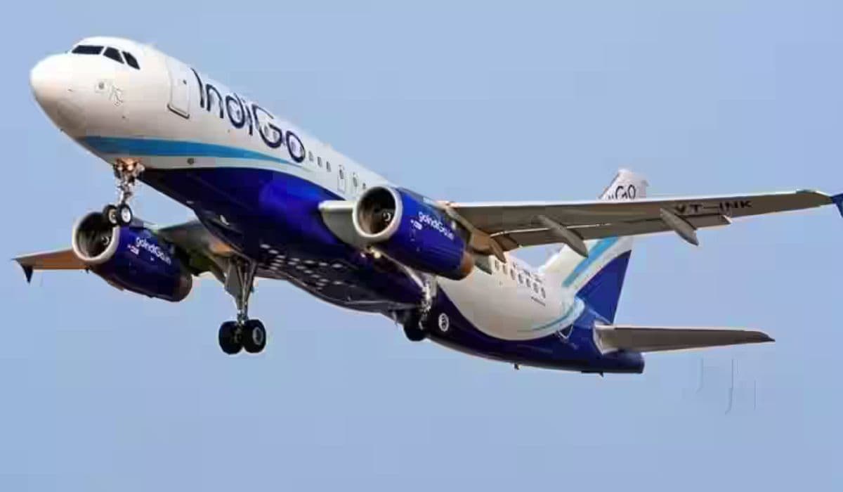 indigo flight