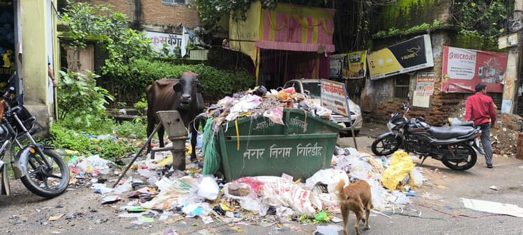 कचरों के ढेर के बगल में बेची जा रही हैं सब्जियां