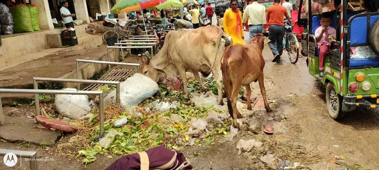 शहर में पसरी है गंदगी, महामारी का बढ़ा खतरा