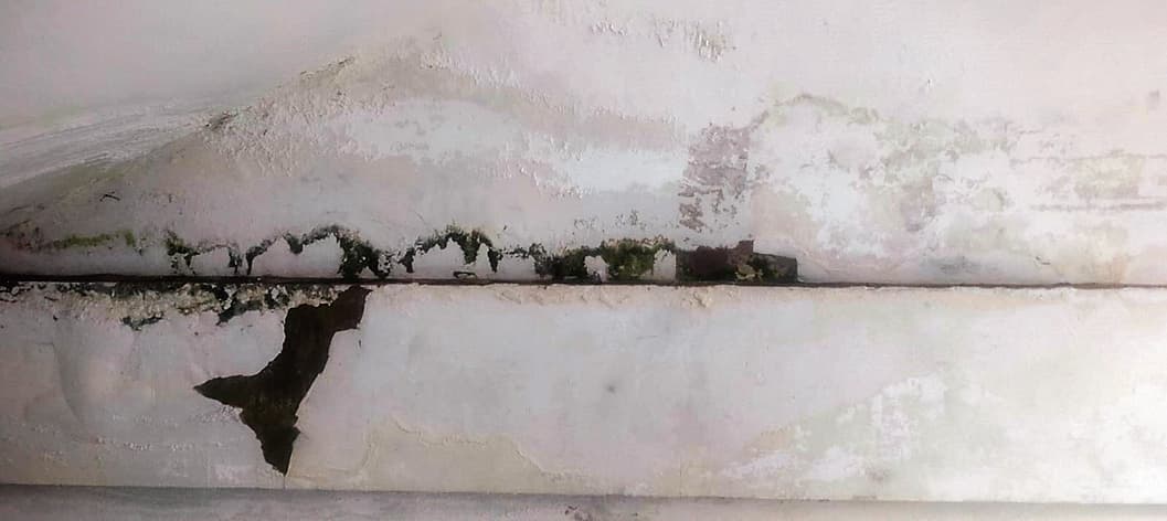 Ranchi news : तीन वर्षों में ही रांची नगर निगम भवन की दीवारों पर सीलन और दरारें आने लगीं