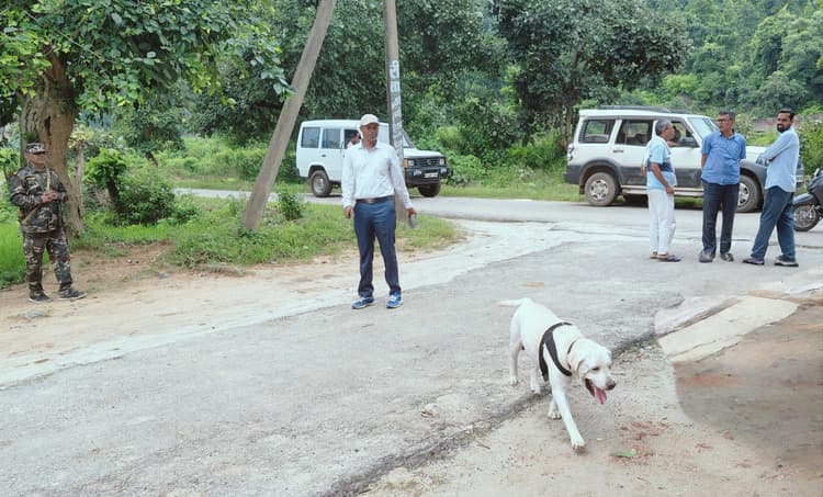 ललपनिया में चार बंद आवासों से लाखों की चोरी