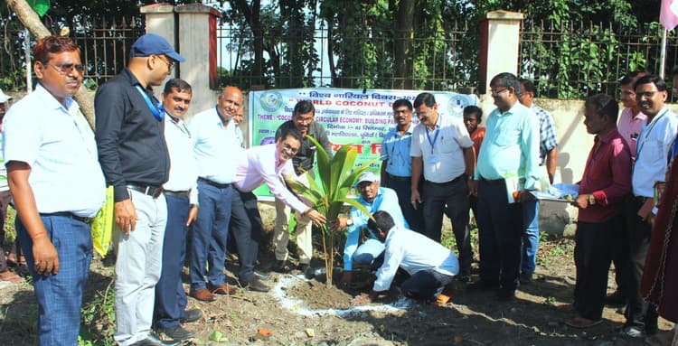 कोसी क्षेत्र में नारियल खेती की अपार संभावनाएं