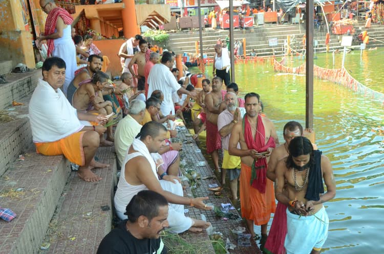 कुशी अमावस्या पर तोड़ा कुश, किया गया तर्पण