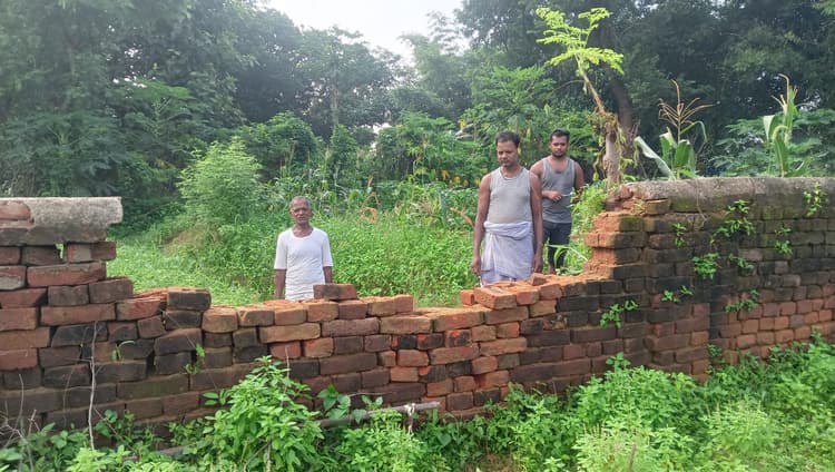 झुंड से बिछड़े हाथी ने सरिया में मचाया उत्पात