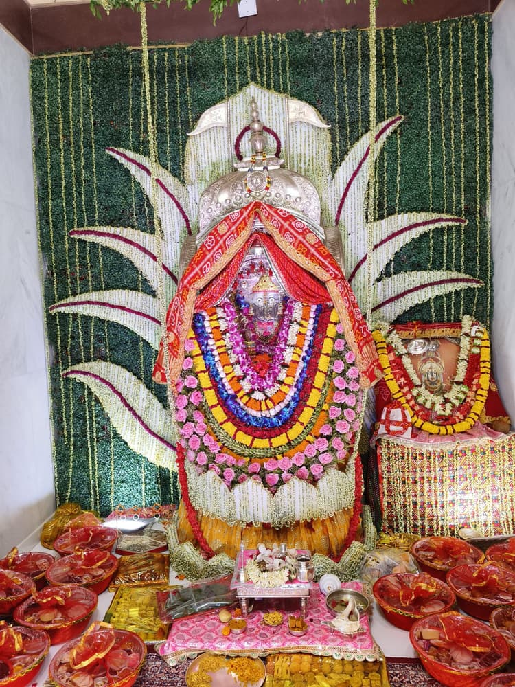 श्री राणी शक्ति दादी को लगाया गया सवामनी भोग, भादो महोत्सव का समापन