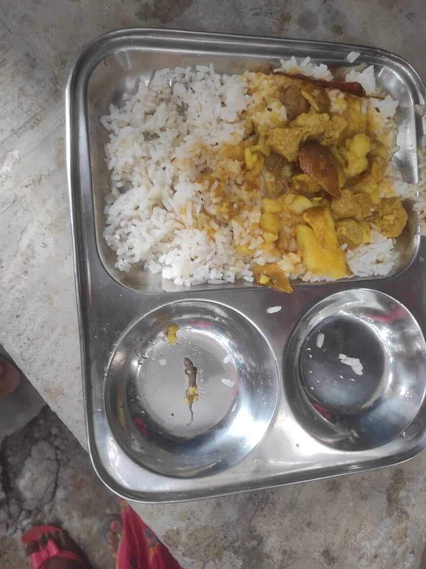 बहादुरगंज प्रखंड  के उमवि सताल में मिड डे मील में छिपकली मिलने से हड़कंप, फेंकवाया भोजन