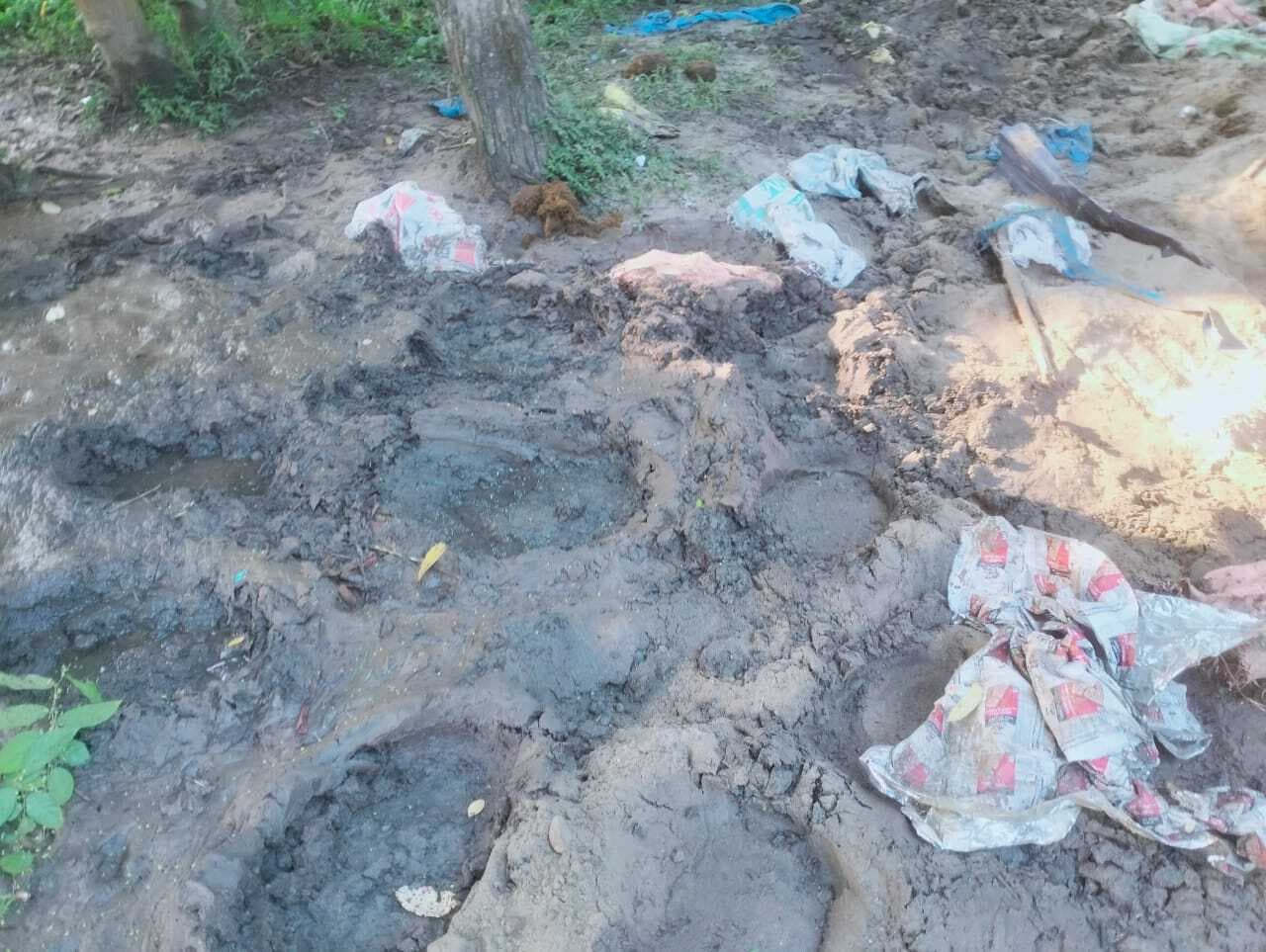 वाल्मीकि टाइगर रिजर्व में नेपाली हाथियों का झुंड ने मचाया तांडव