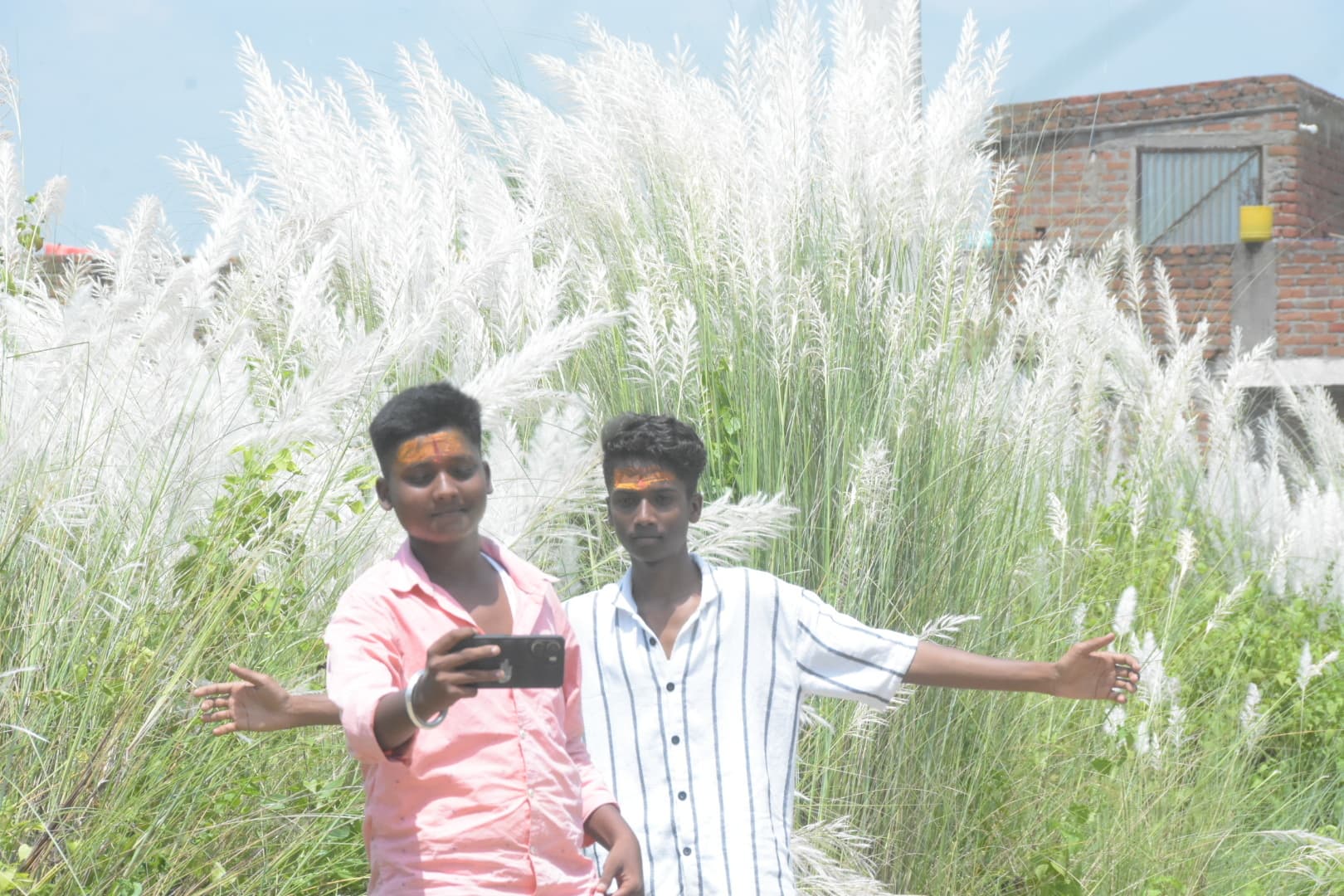 माता रानी और शरद ऋतु के आगमन का एहसास करा रहीं कास के फूलों की अठखेलियां