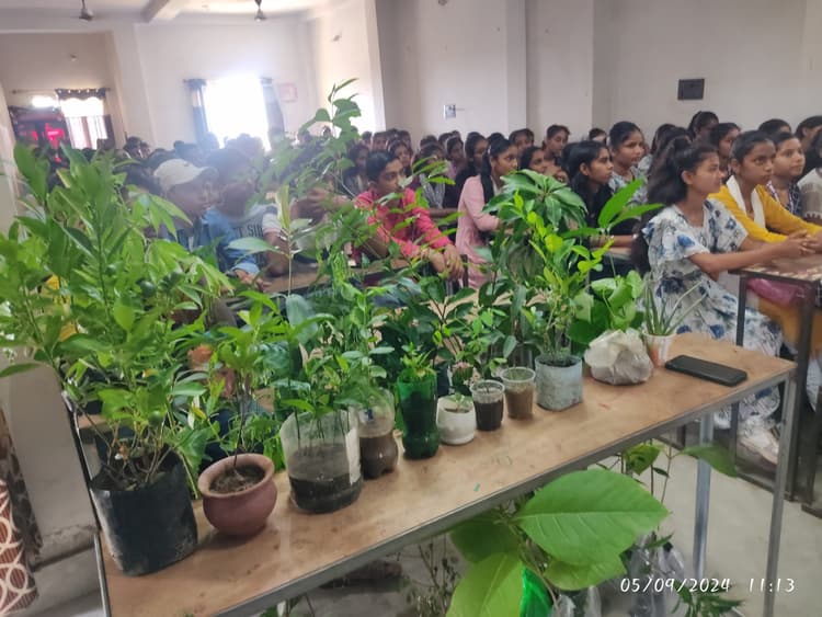 पौधा देकर शिक्षकों को किया गया सम्मानित