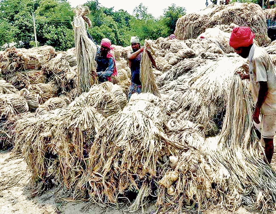 राज्य के जूट उद्योग पर फिर मंडराया संकट