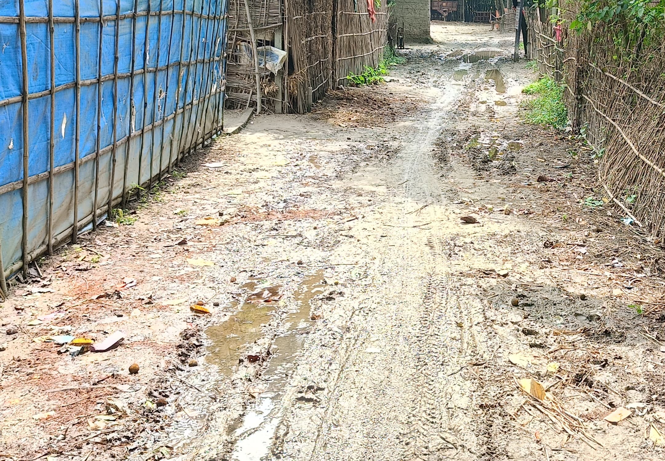 शीशाबाड़ी गांव से मीरपुर हाट जानेवाली सड़क जर्जर