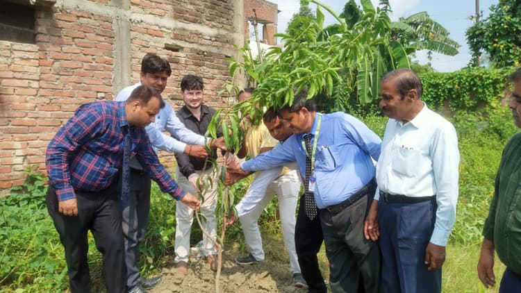 importance of plants युवा पीढ़ी को पौधों का महत्व बताना जरूरी