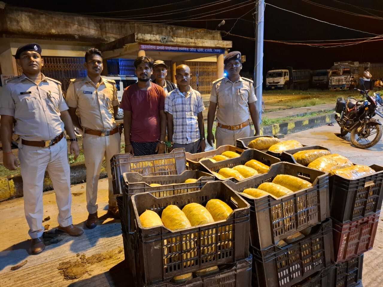 198 किलो गांजा के साथ पिकअप वैन जब्त, दो तस्कर गिरफ्तार