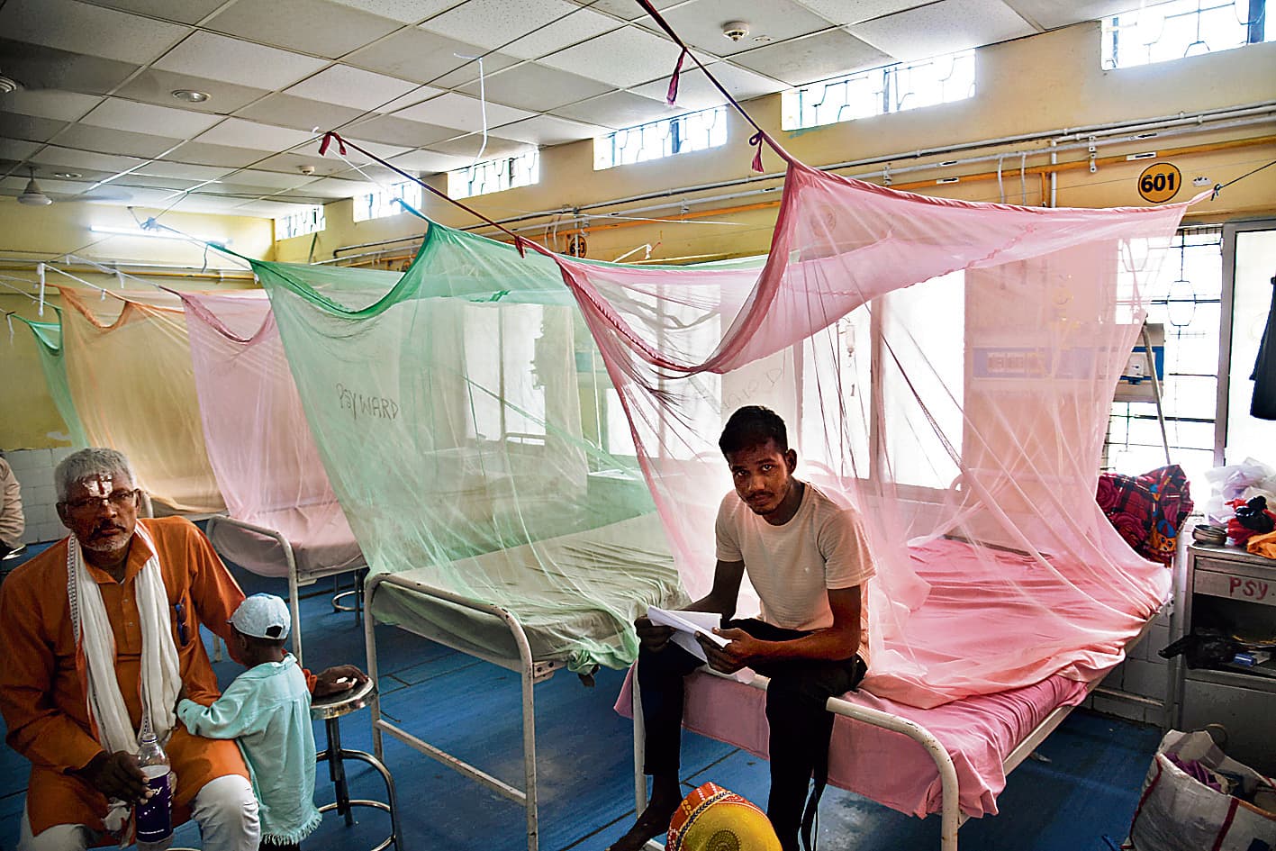 एनएमसीएच बनेगा डेंगू अस्पताल, पटना जिले में मिले 31 नये मरीज