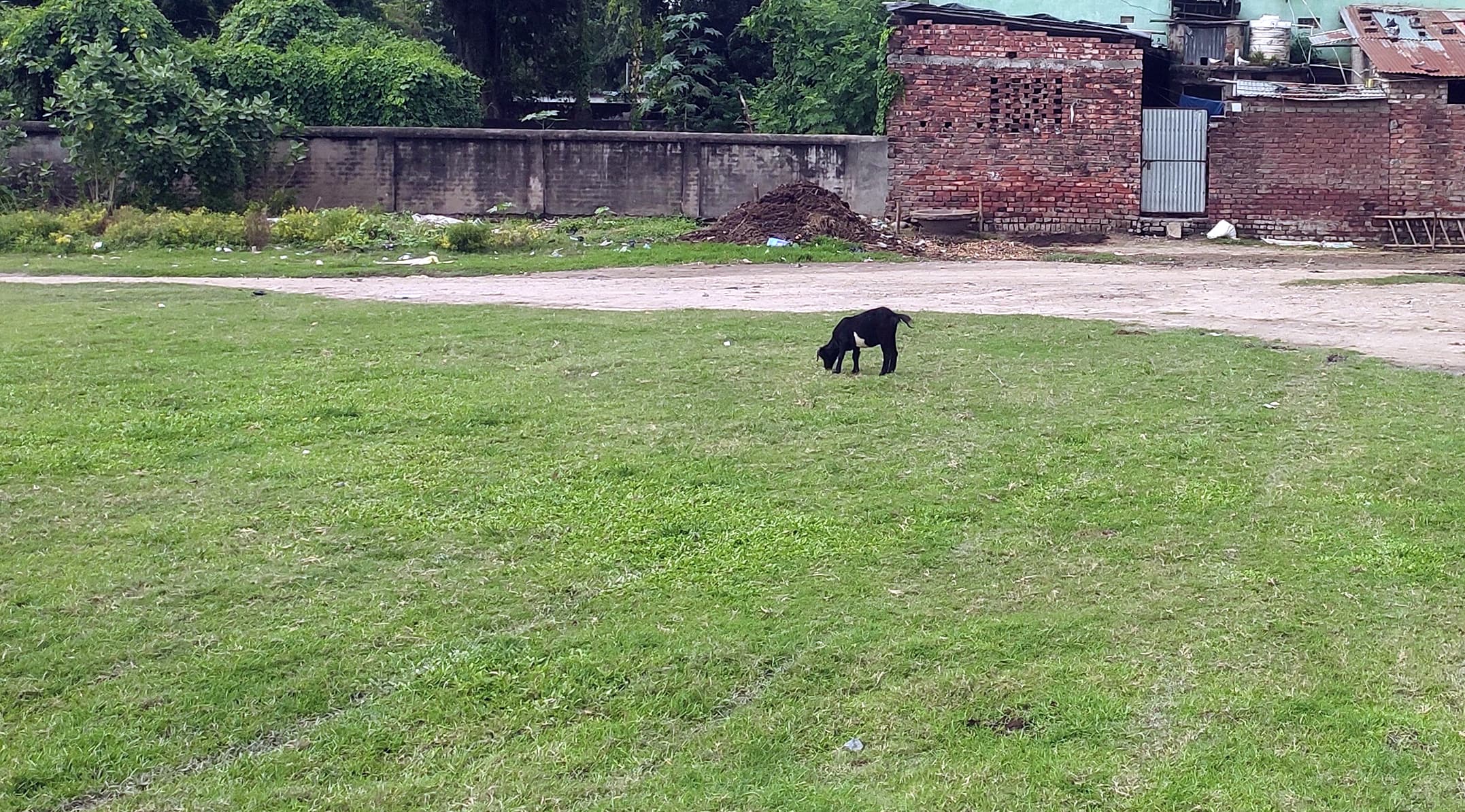 तीन साल में भी पूरी नहीं हुई स्कूल के क्रीड़ा मैदान की मापी