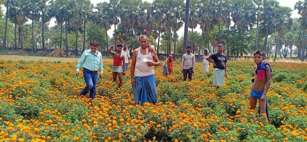 फूल उत्पादन क्षेत्र में आत्मनिर्भर बनेंगे किसान