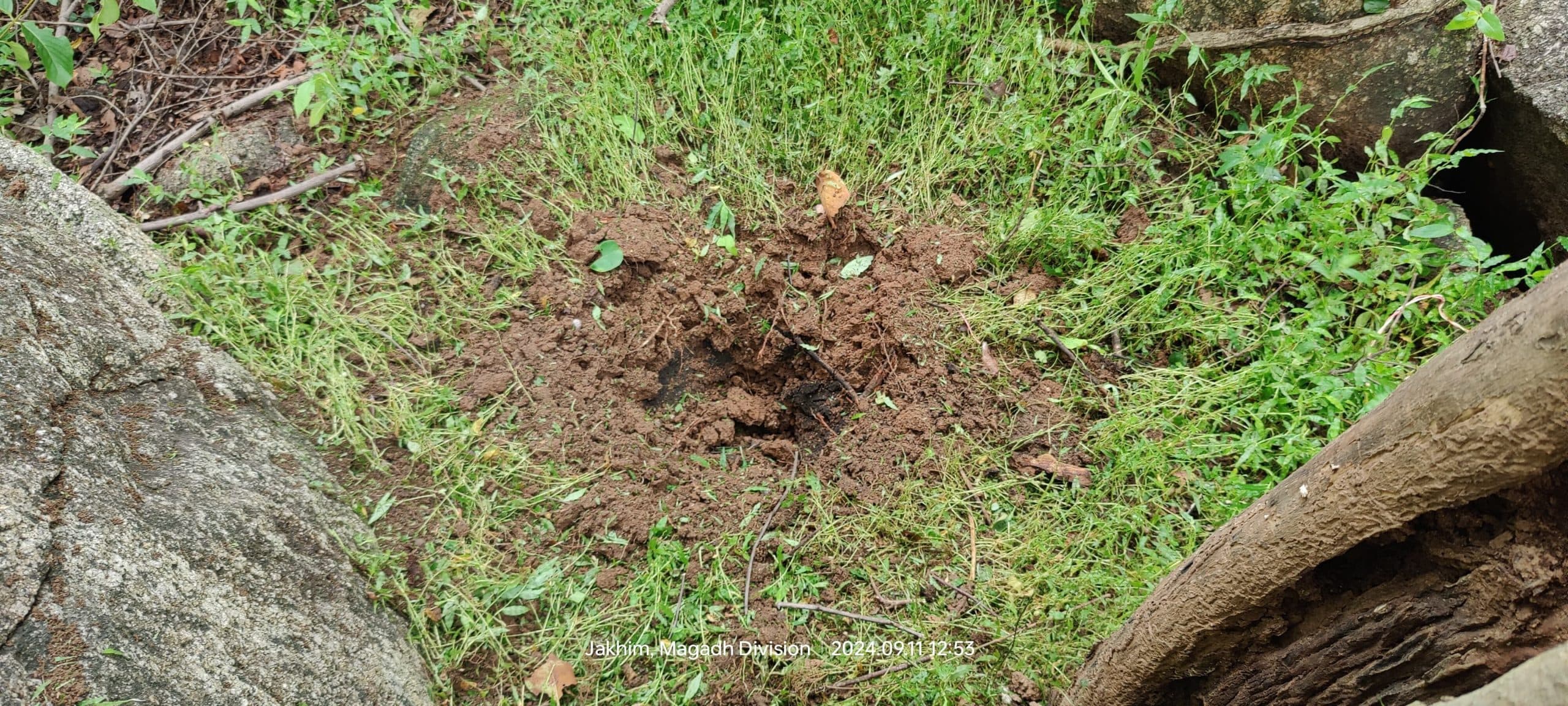 Aurangabad News : पचरूखिया के जंगल से मिले तीन-तीन किलो के दो आइइडी