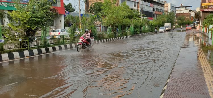 Rourkela News: झमाझम बारिश ने गर्मी से दी राहत, कई पेड़ उखड़े, जलजमाव से परेशानी
