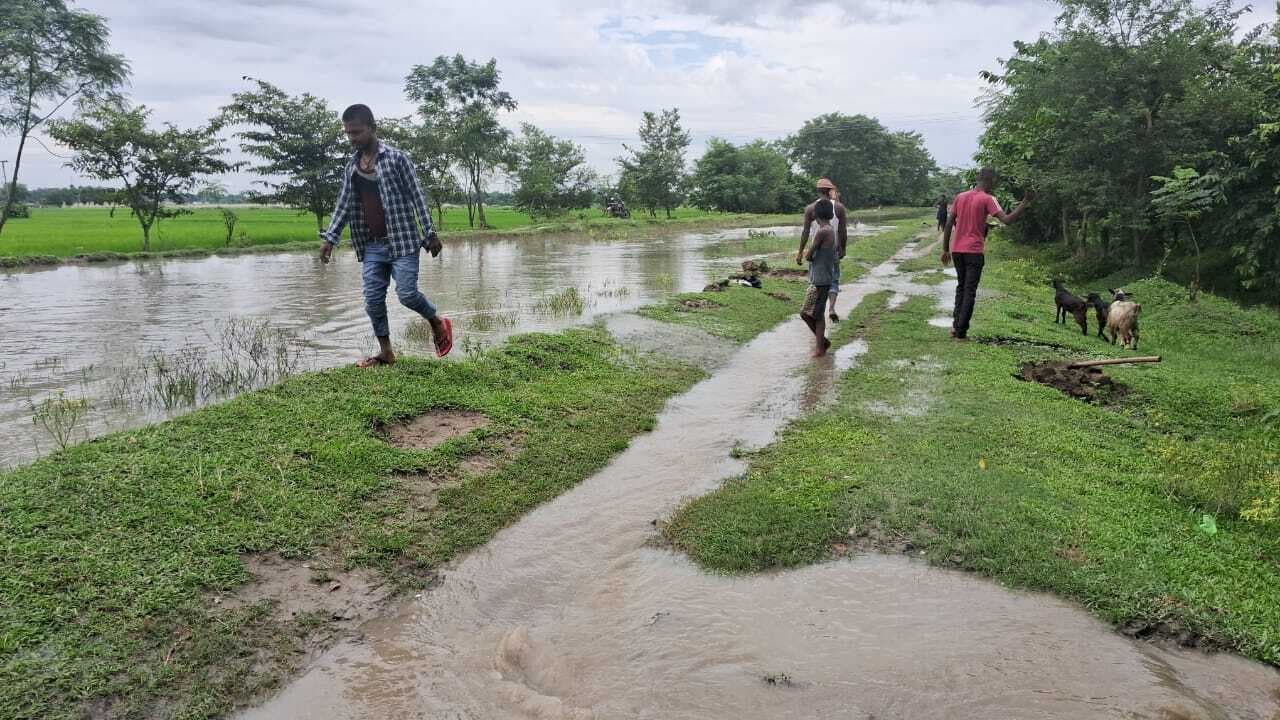 लालपुर केनाल नहर का पानी ओवरफ्लो, खेतों में लगी फसल डूबी