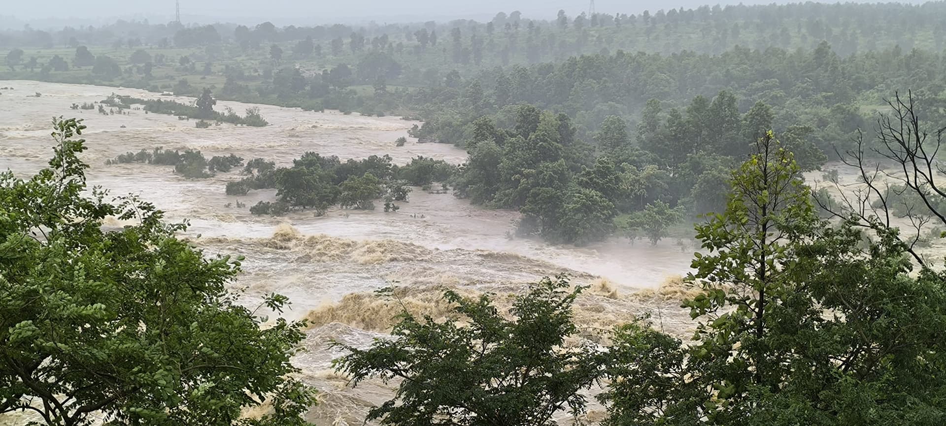 Giridih News. कहीं गिरा घर, तो कहीं गिरे पेड़, जल जमाव से हो रही परेशान