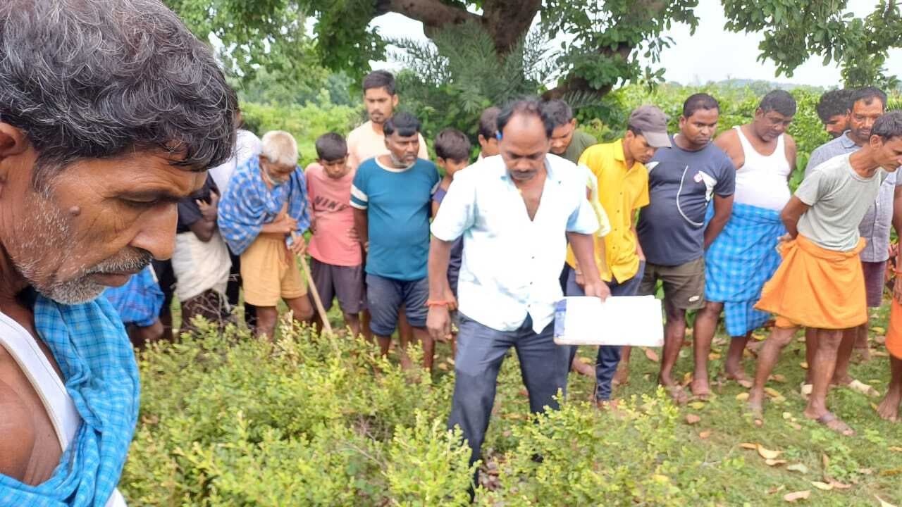 Gaya News : रोशनगंज के नवादा गांव में गोली मारकर वृद्ध की हत्या