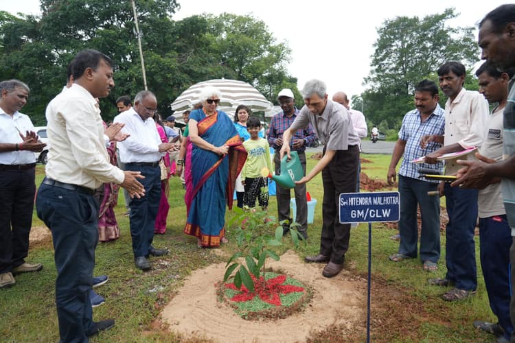 चिरेका में स्वच्छता ही सेवा के तहत किया गया पौधरोपण