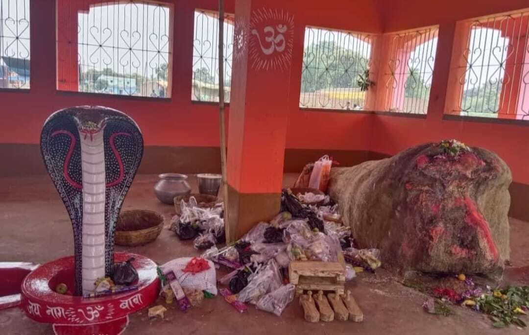 नाग देवता की धूमधाम से हुई वार्षिकी पूजा