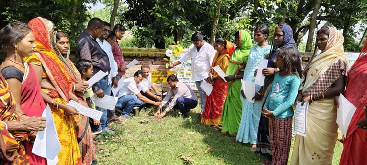 चौथम: प्रखंड की 13 पंचायतों में लगाये गये फलदार पौधे