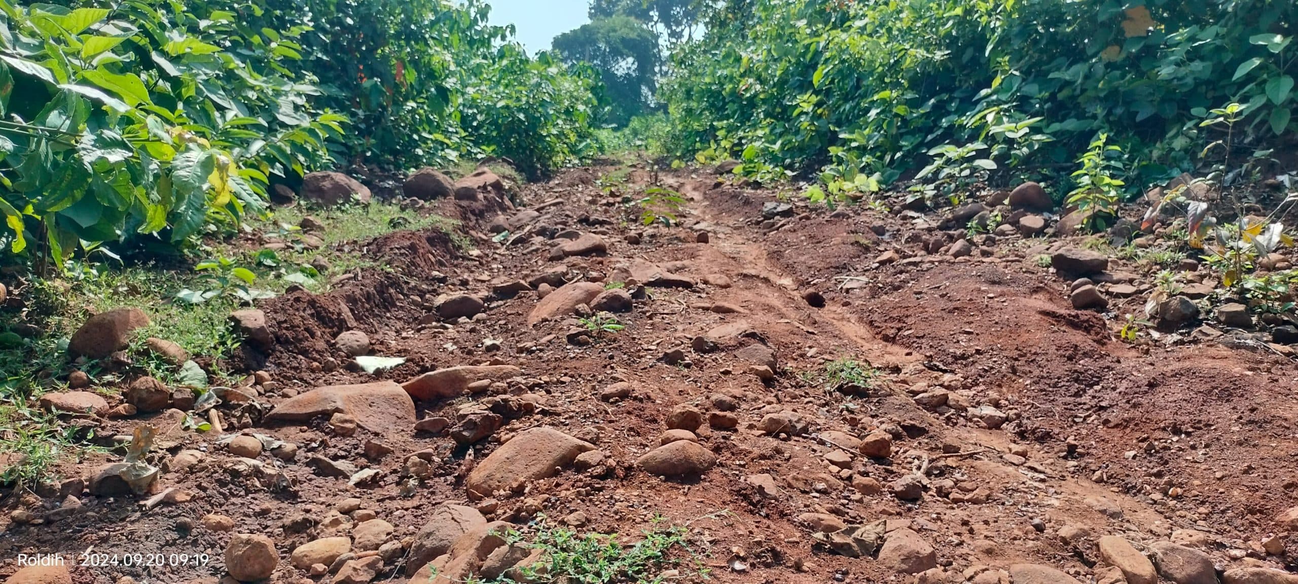 लीड :: आजादी 78 साल बीतने के बाद पक्की सड़क नसीब नहीं