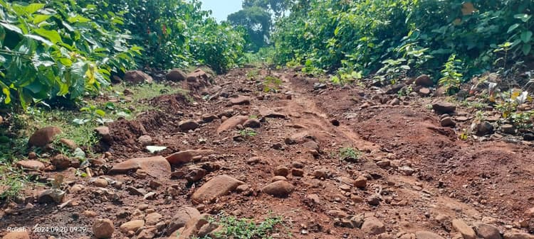 लीड :: आजादी 78 साल बीतने के बाद पक्की सड़क नसीब नहीं