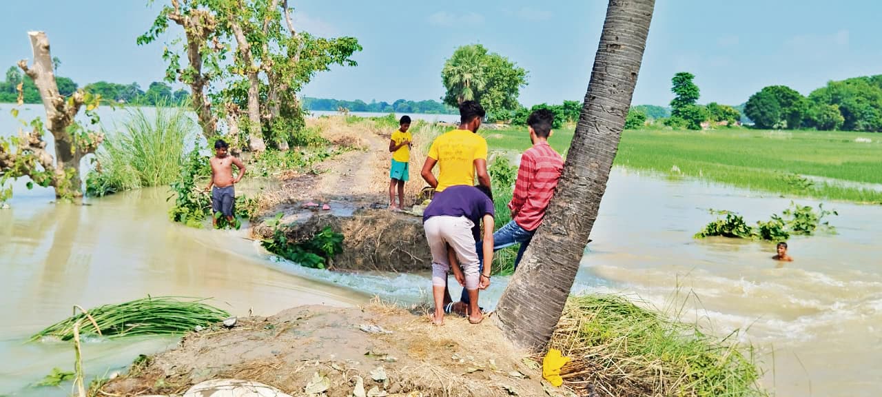 Chhapra News : मांझी में रिंग बांध टूटा, गांव में घुसा बाढ़ का पानी