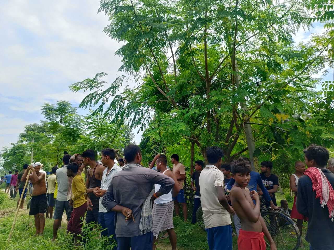 गन्ने के खेत में बाघ निकालने की सूचना पर घंटों मची रही अफरातफरी, निकला सूअर