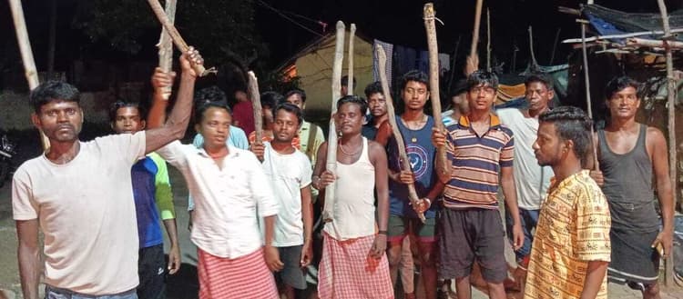 Dhanbad News: वन विभाग की टीम नहीं पकड़ पायी सियार को