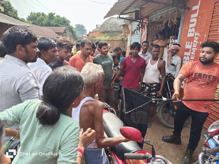 वन विभाग ने जहरीला सांप पकड़कर जंगल में छोड़ा