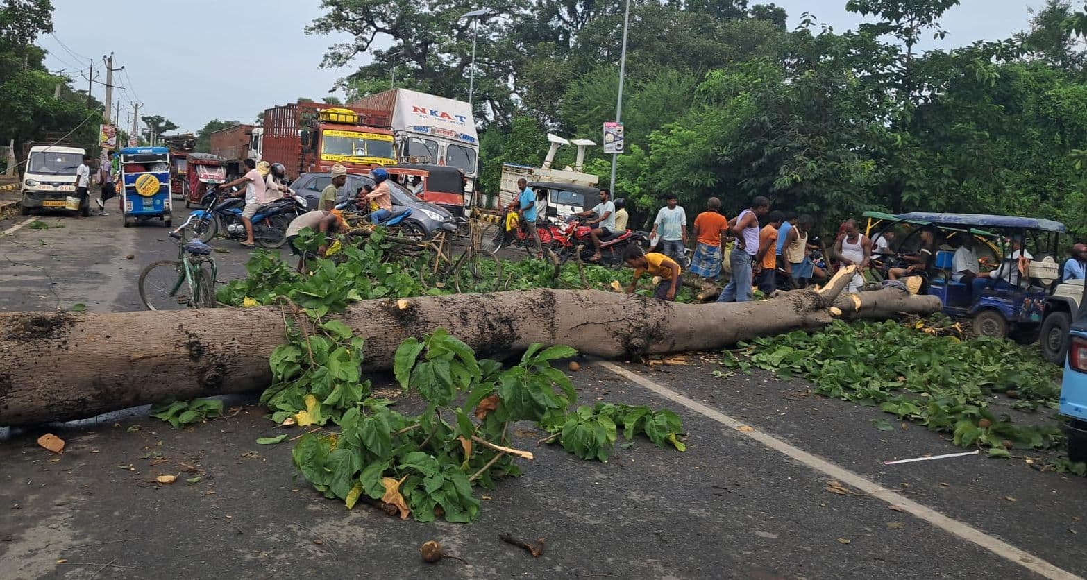 बारिश से गर्मी से राहत, तेज हवा से टूटे कई पेड़