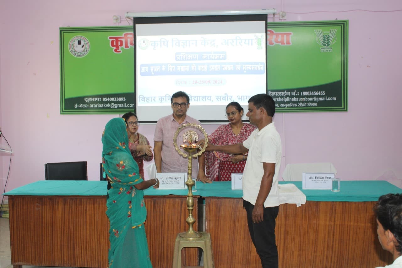 आय सृजन का मखाना एक अच्छा जरिया