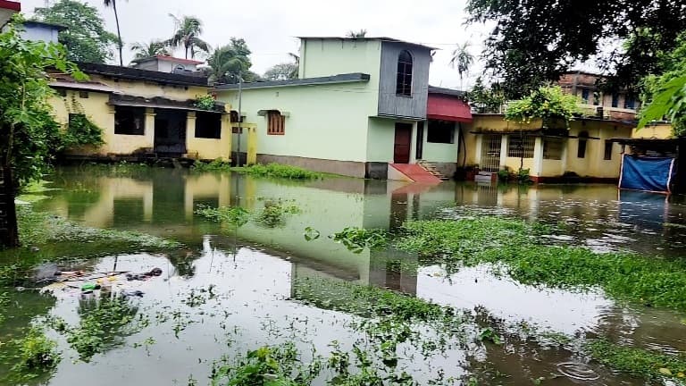 पौआखाली के वार्ड संख्या 8 में जलजमाव से लोग परेशान
