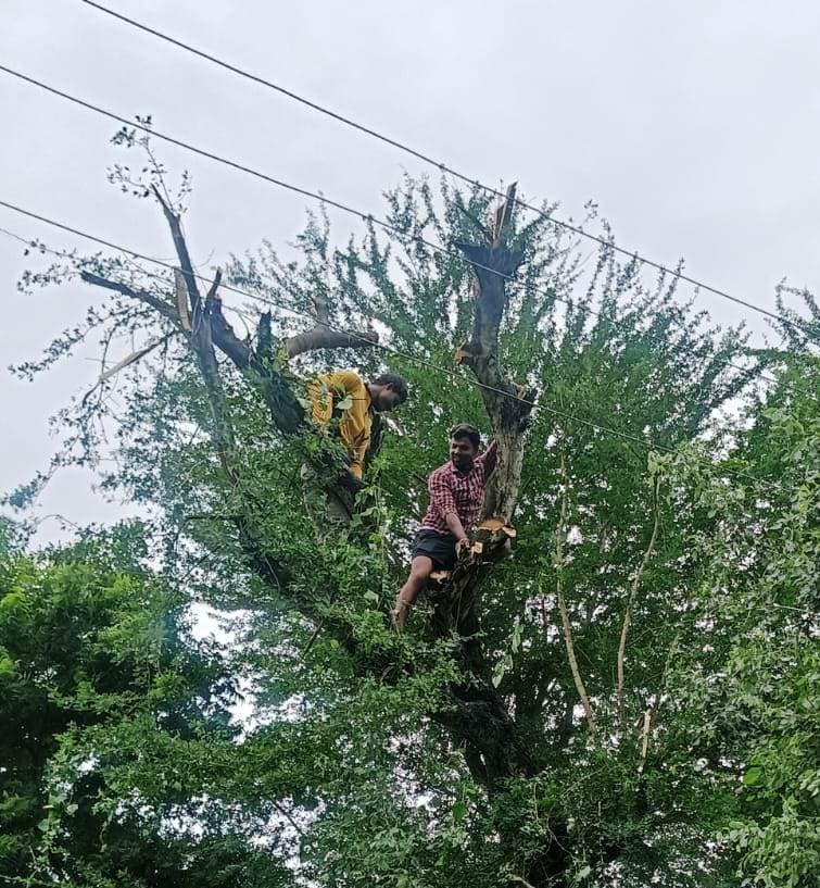 बारिश में विद्युत की आंच मिचौनी से उपभोक्ता परेशान