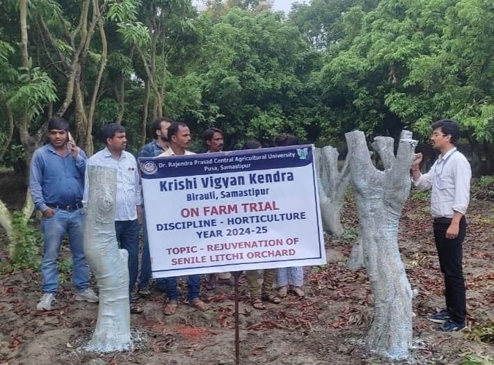 Restoration of unproductive gardens: अनुत्पादक बागों में जीर्णोद्धार तकनीक का परीक्षण करने की जरूरत : वैज्ञानिक