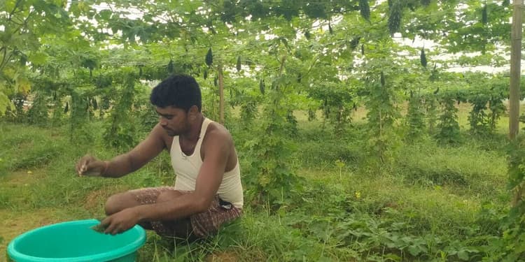 Giridih News:आधुनिक तरीके से खेती कर स्वावलंबी बना युवक