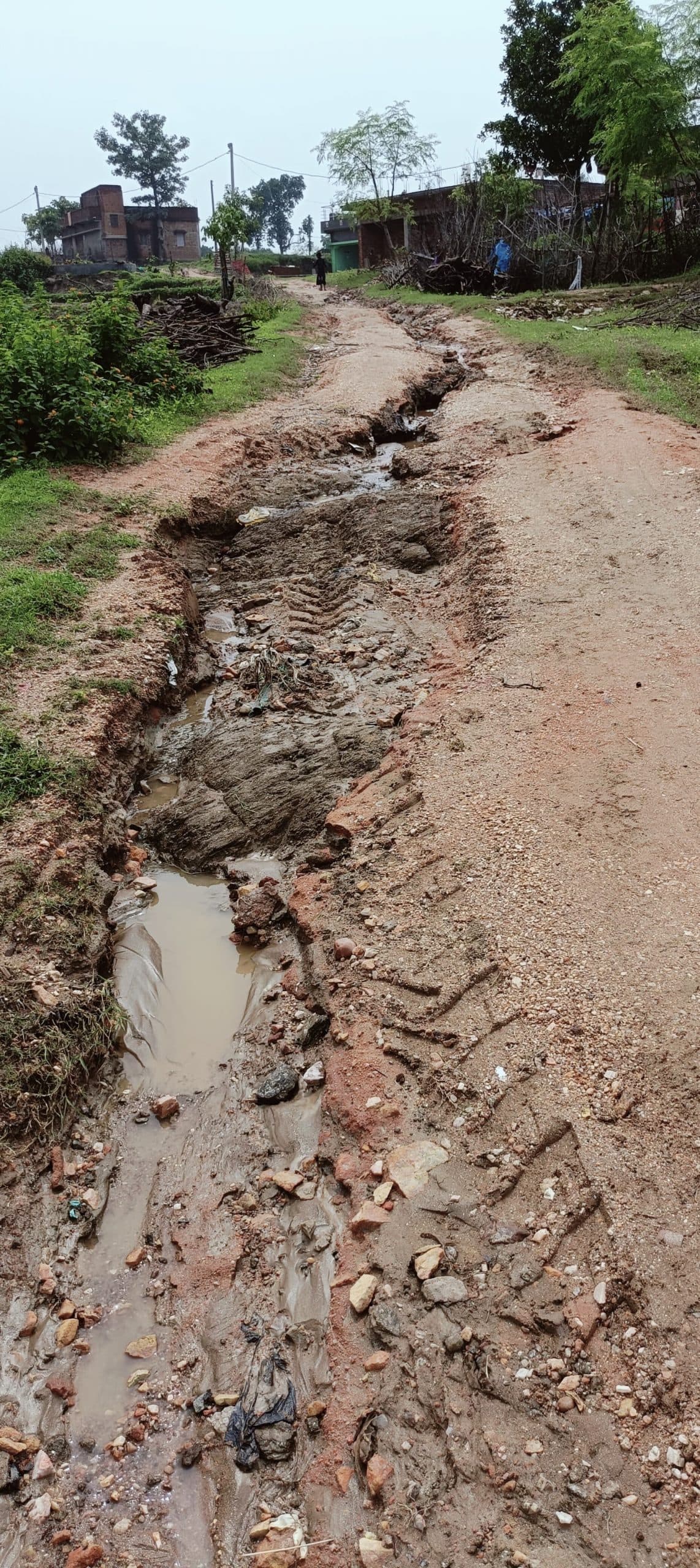 Giridih News: कच्ची सड़क पर चलना हुआ मुश्किल, मरम्मत की मांग