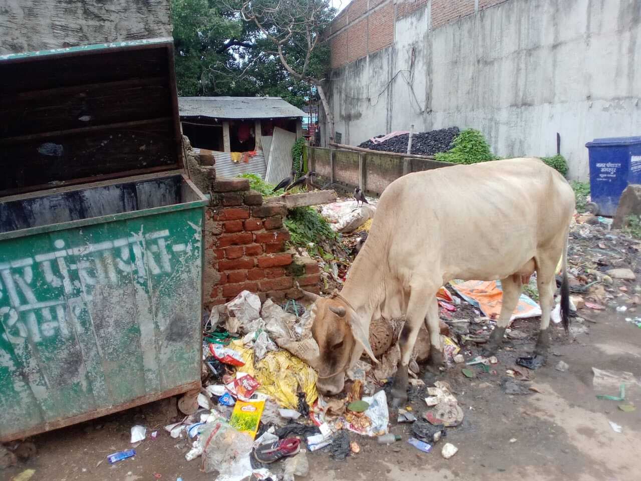 शहर में स्वच्छता अभियान के नाम पर खानापूर्ति, अधिकांश जगहों पर फैली है गंदगी