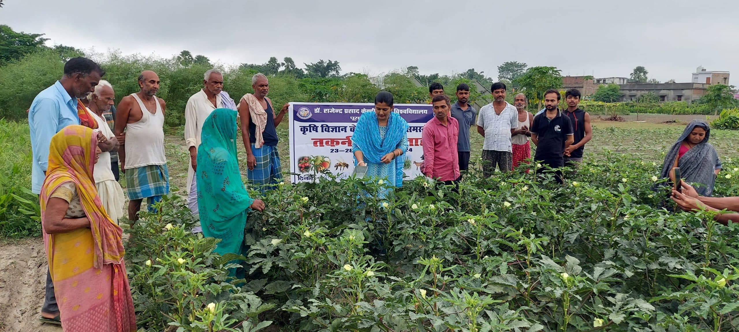 Bhindi plucking machine is a boon for vegetable growers भिंडी तुराई यंत्र सब्जी उत्पादकों के लिए वरदान : वैज्ञानिक