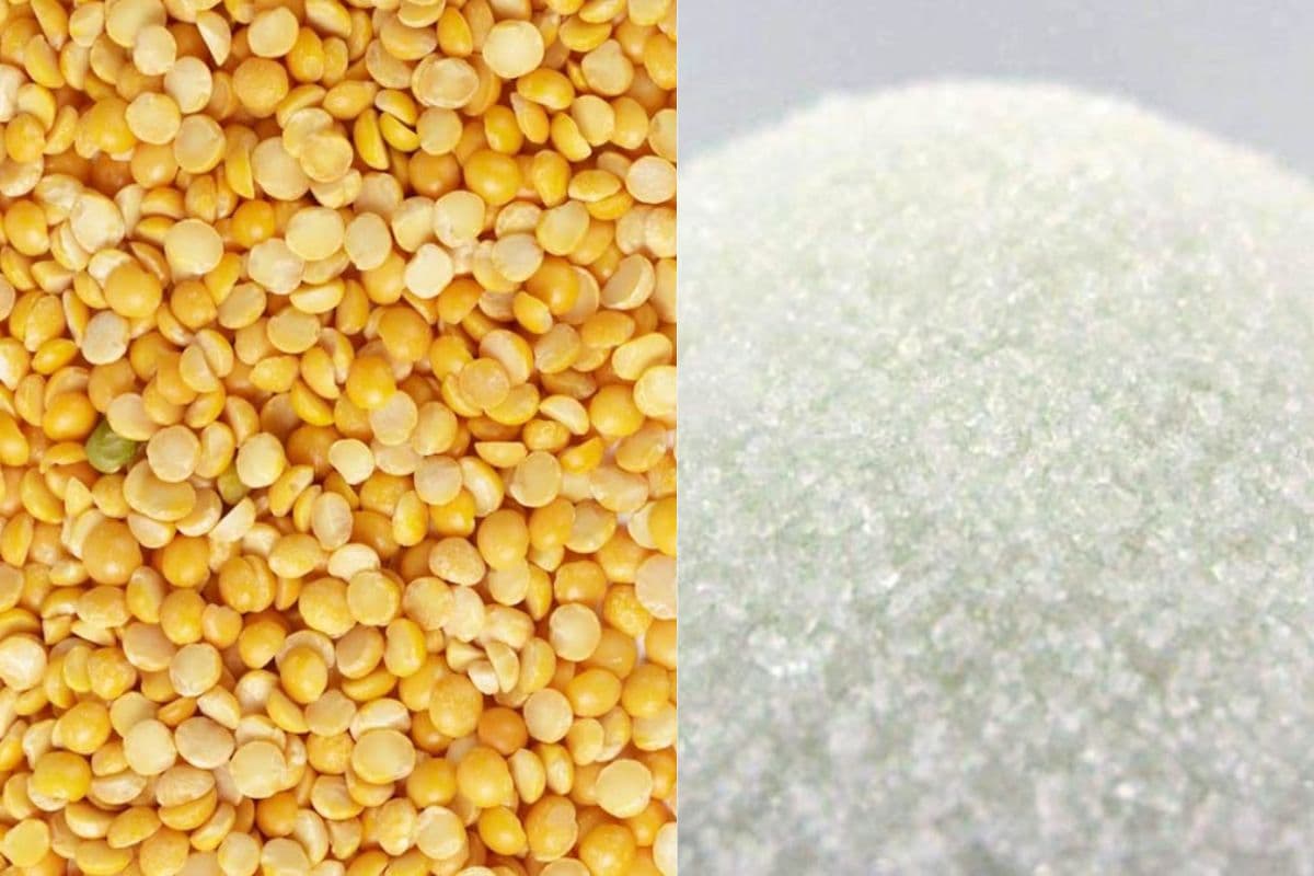 Dhanbad News: राशन कार्डधारियों के लिए खुशखबरी! दुर्गा पूजा से पहले मिलेगी चना दाल और चीनी